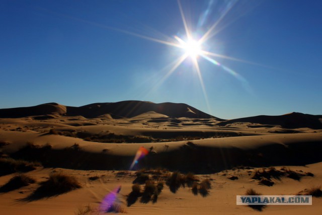 Новогодняя ночь в пустыне Сахара