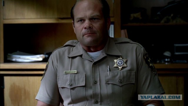 Беркут растрощил водителю автомобиль.