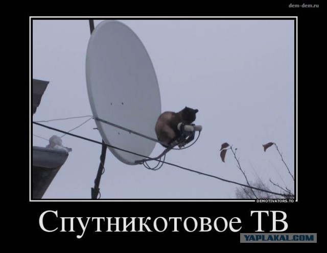 С днем Радио!