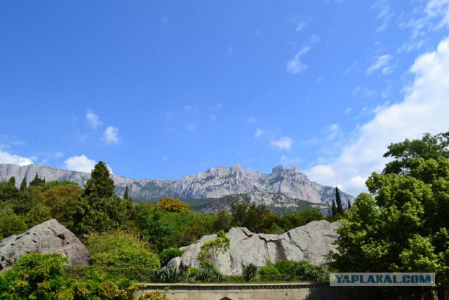 Отдых в Крыму 2014