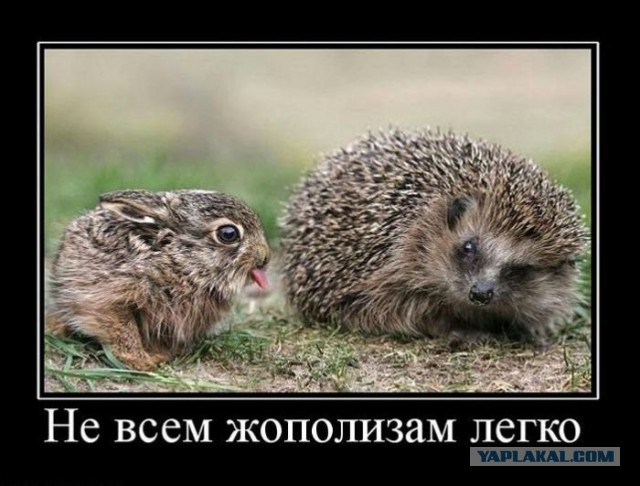 Из одесского подполья