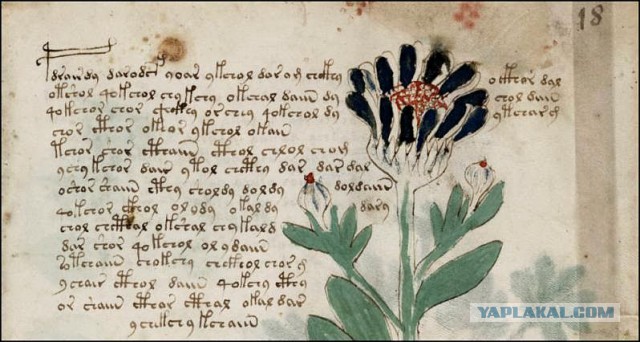 10 шифров и кодов, которые до сих пор не удается