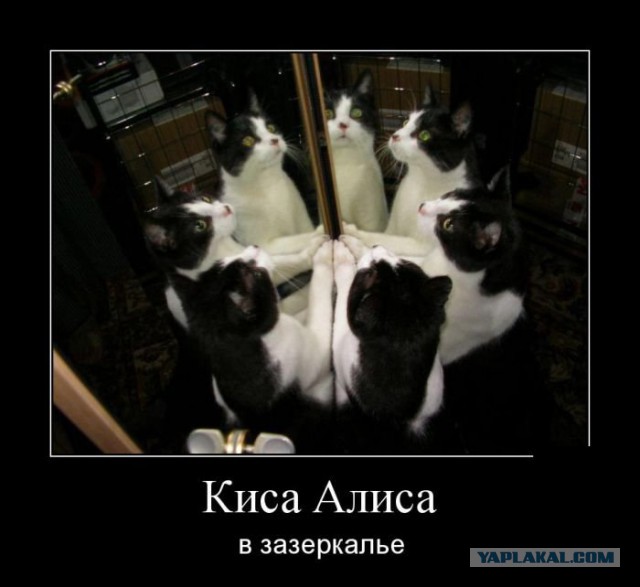 Демотиваторов пост