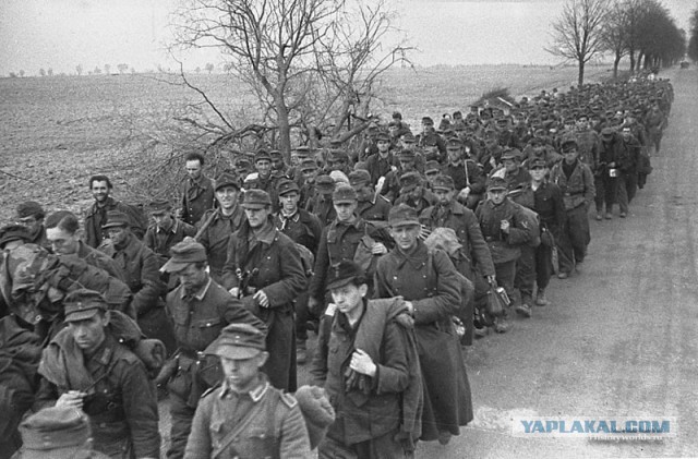 Массовая сдача в плен под Дебальцево