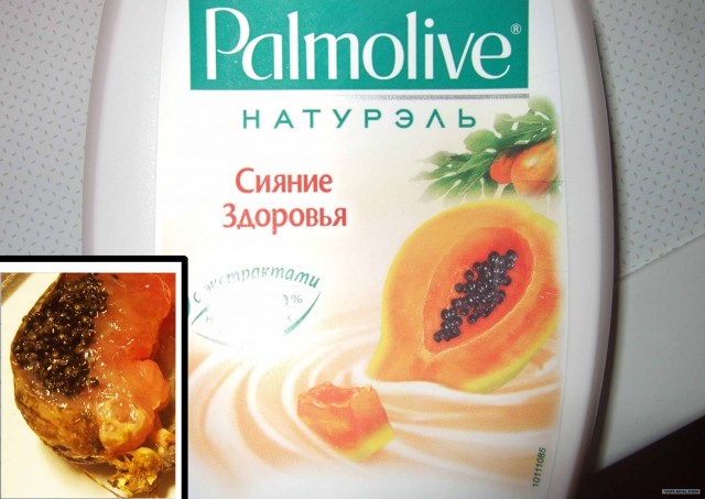 Неизвестные существа