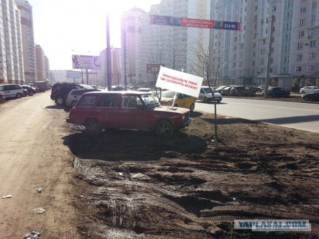 Водители-свиньи!