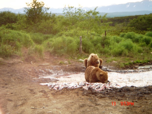 Путина 2005, Камчатка