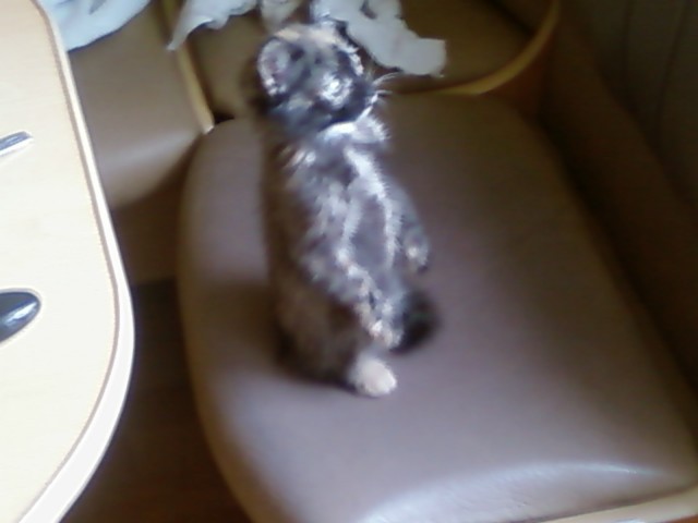 Спутниковая связь