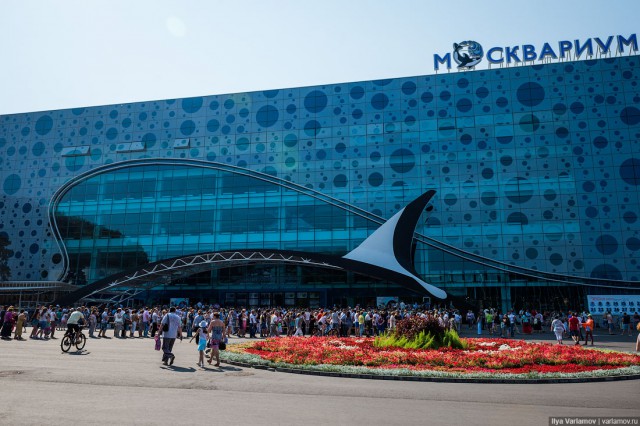 Не ходите пока в "Москвариум"!