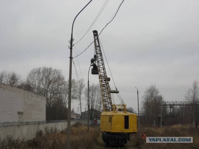 Ничего необычного, просто солдат спиливает верхушки деревьев