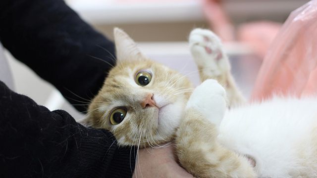 Многодетная мать отвлеклась на пару минут и потеряла любимую дочь.