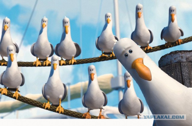 Рыба, у которой память, как у тебя!