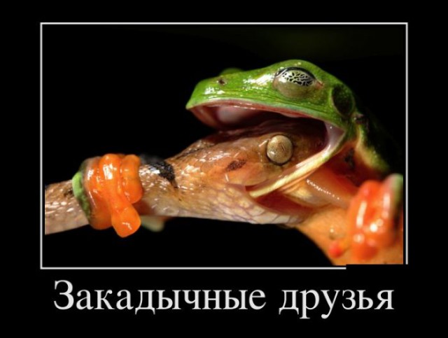Разные картинки из сети