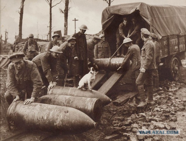 Жестокие фото свидетельства Первой Мировой