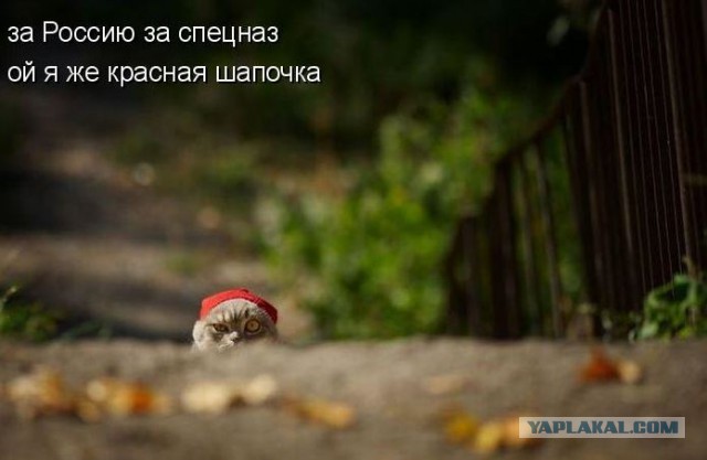 Красная шапочка от разных авторов