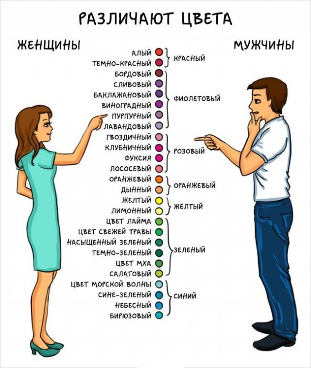 Мужчины vs. женщины: главные отличия