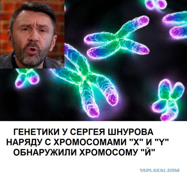 Выходные подошли к концу... Тупанем чутка?