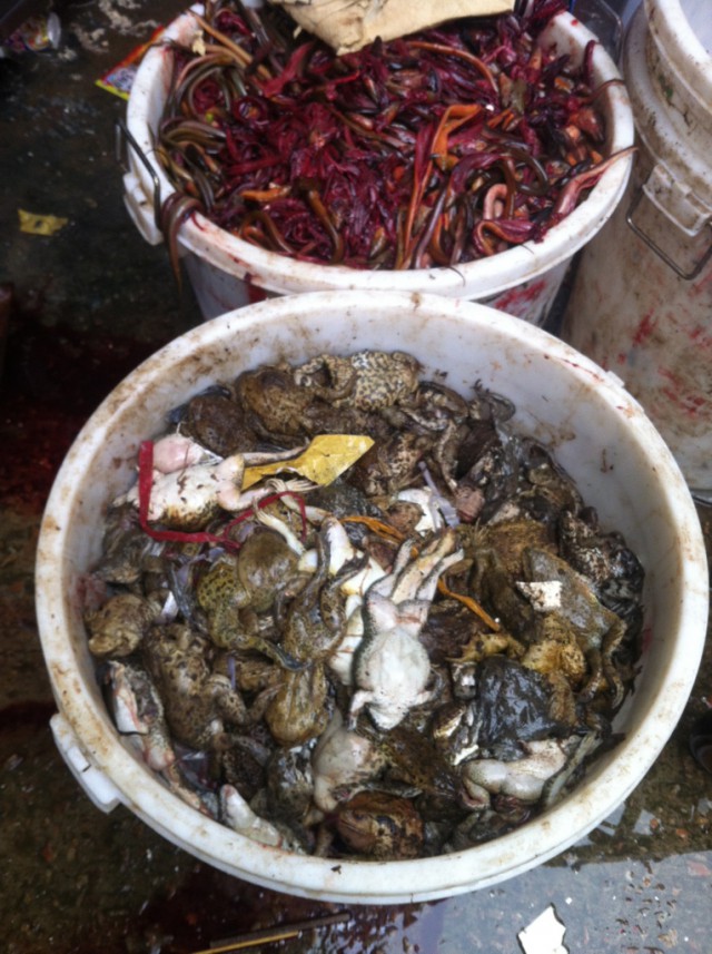 Китайский рынок морепродуктов
