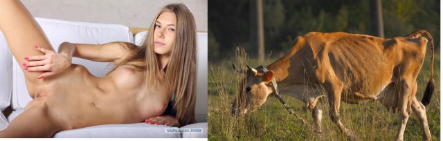 Девушка с идеальным телом