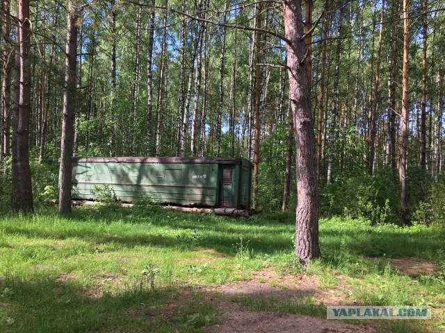 Заброшенная церковь в Мещерских лесах