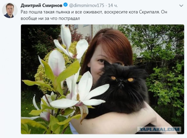 Смешные комментарии из социальных сетей 01.06.2018