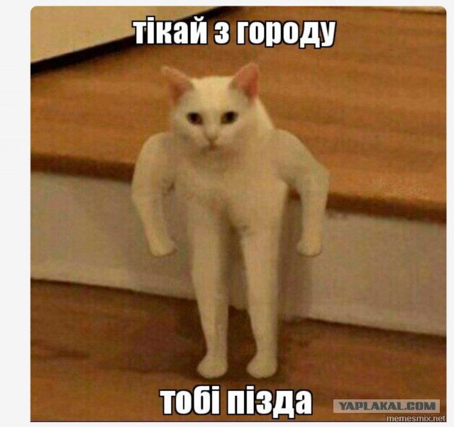 Вот это я мониторчики купил