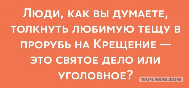возбуждениеуголвоного дела. толкнуть тещу в прорубь. толкнуть тещу в прорубь на крещение. смешные цитаты про тещеньку. сегодня утром решила хоть денек не применять нецензурную речь.