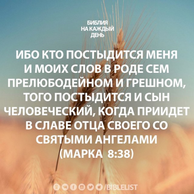 Человек из бочки