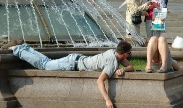 Применим физику в постели или белка и стрелка. Картинки