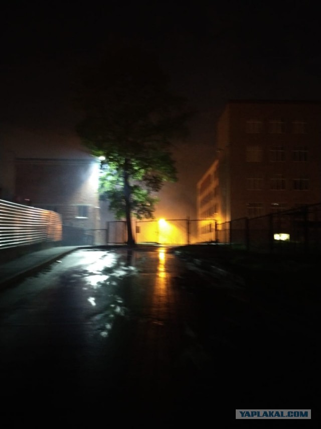 Сам себе фотограф
