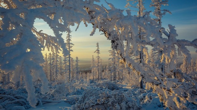 Зимняя суровая Якутия