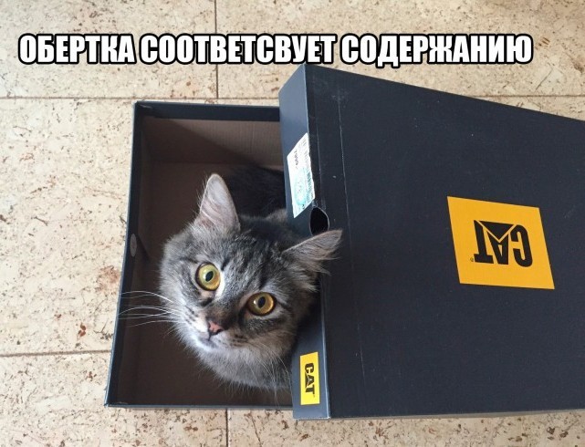 Прикольные картинки 20.02.20