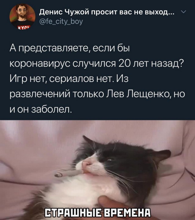 Немного картинок для настроения 31.03.20