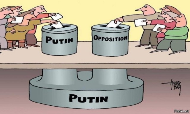 Стоит ли идти голосовать?