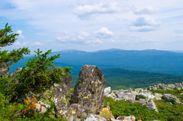 Где-то на Урале лес заменяет людям небо