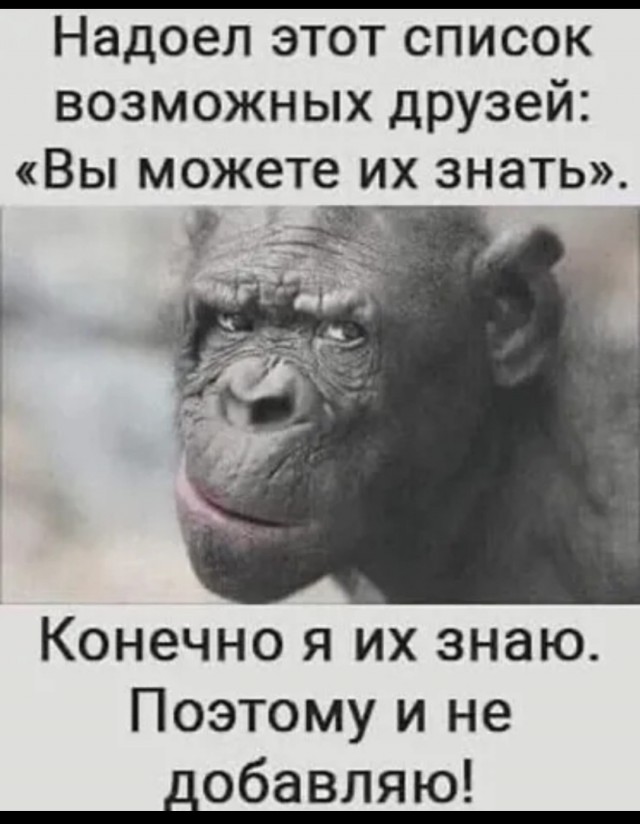 Фотки и картинки: юморные и красивые, забавные и милые 14.09.20