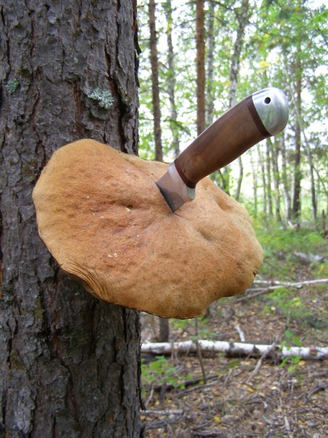Натурное обследование