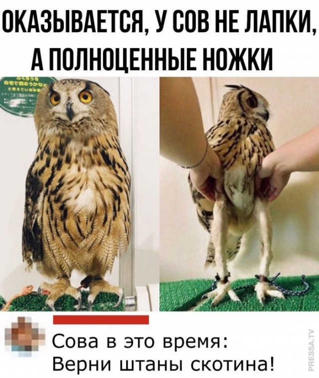 Картинки и мемы для настроения 008