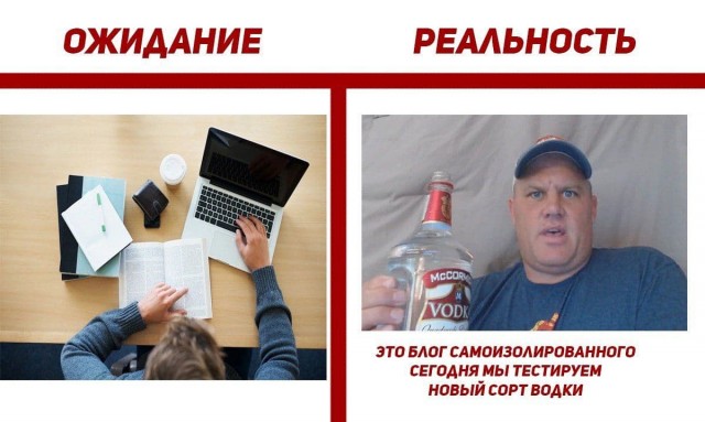 Эй вы, давно не деградировали?!