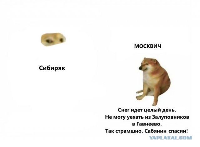А знаете, какая средняя цена сейчас на услугу «откопать автомобиль»?