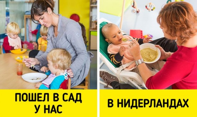 16 деталей жизни голландцев, которые доказывают, что между нашими странами — пропасть