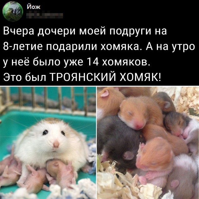 Кретинизмы из сети 20.07.21