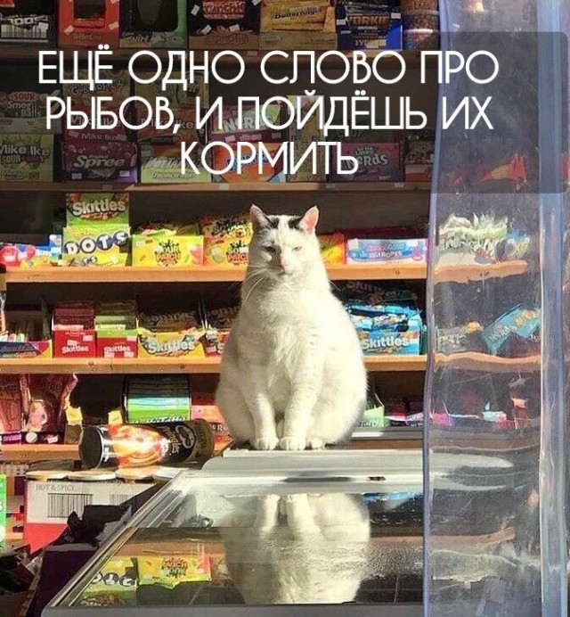 Картинки разные 06.10.21