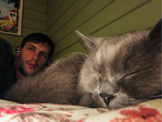 Котовторник