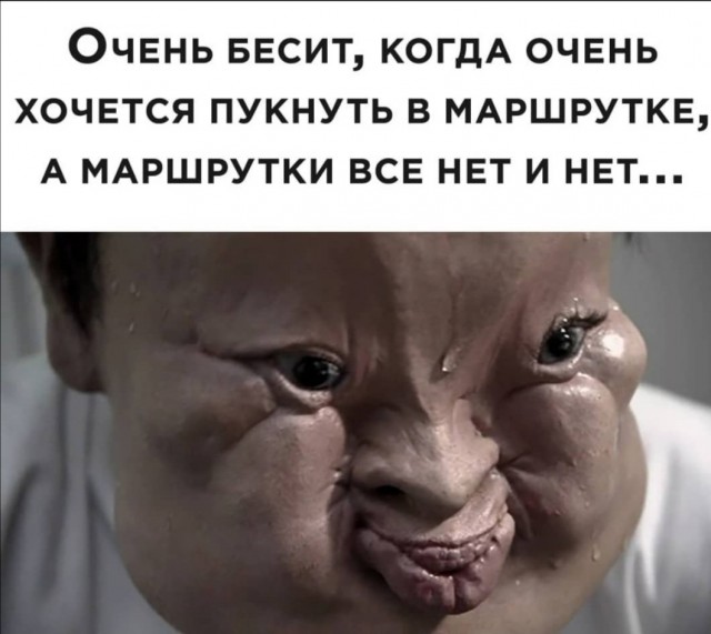 Весёлый полтишок 02.12
