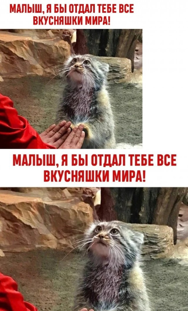 Картинки с надписями и всякие жизненные фразы