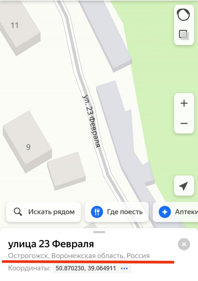 Человек собаке друг и другие картинки под настроение 13.01.2022