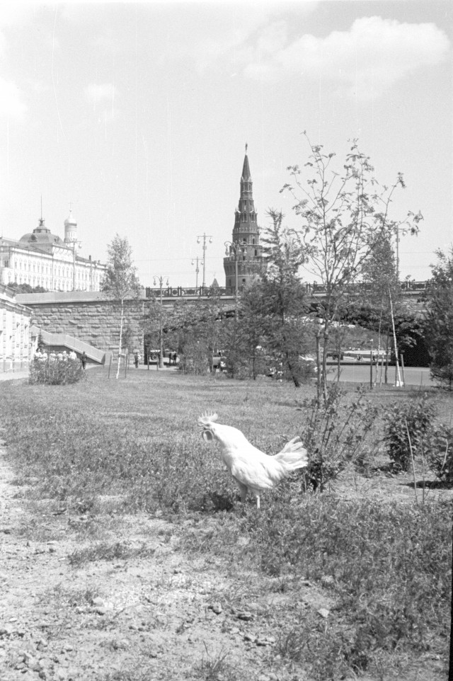 Брат, я тоже в Москве живу