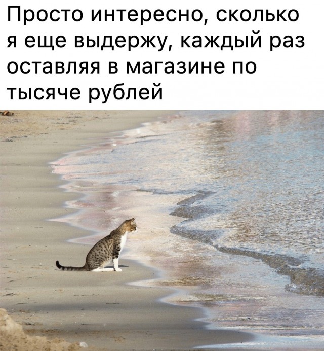 Так себе картинки 05.04.22