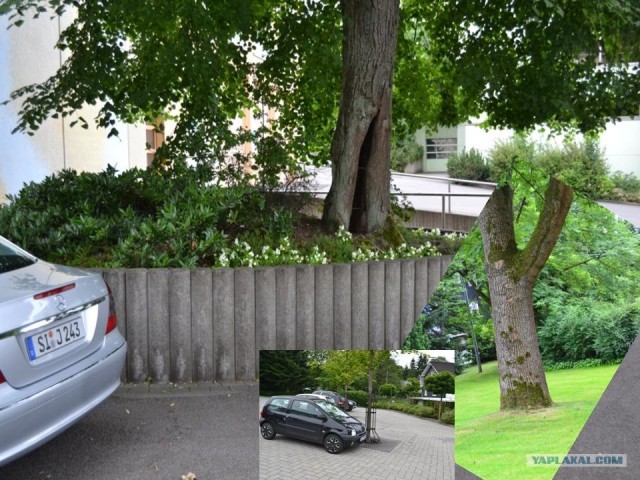 Как я буржуев спасал